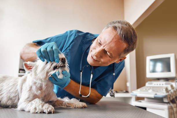 Best Emergency Broken Tooth Repair in Del City, OK
